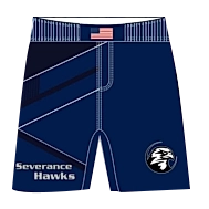 Team warm up set blue (Hoodie and Fight Shorts)